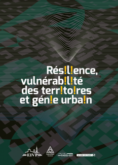 UE 2015 : Résilience, vulnérabilité des territoires et génie urbain