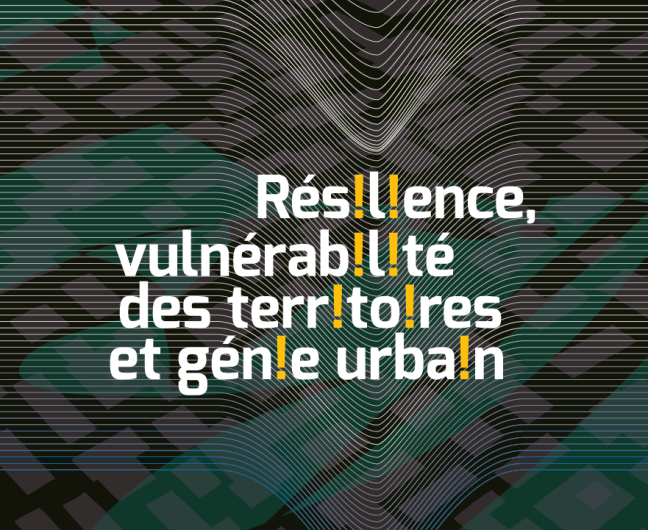 UE 2015 : Résilience, vulnérabilité des territoires et génie urbain